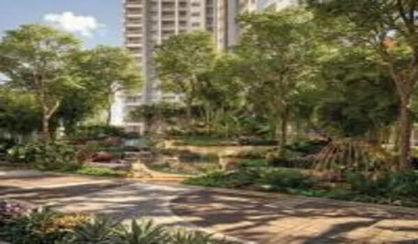 Featured Image of Century Kindle Video